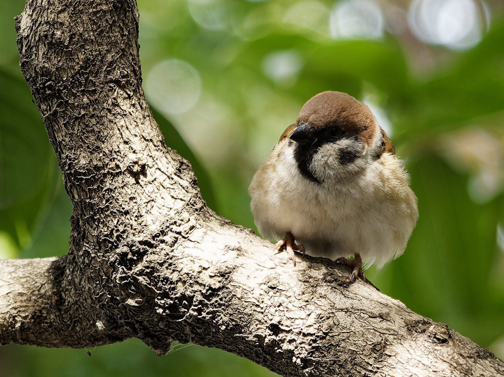 3ae9318328f29e340d20275c270aff3a