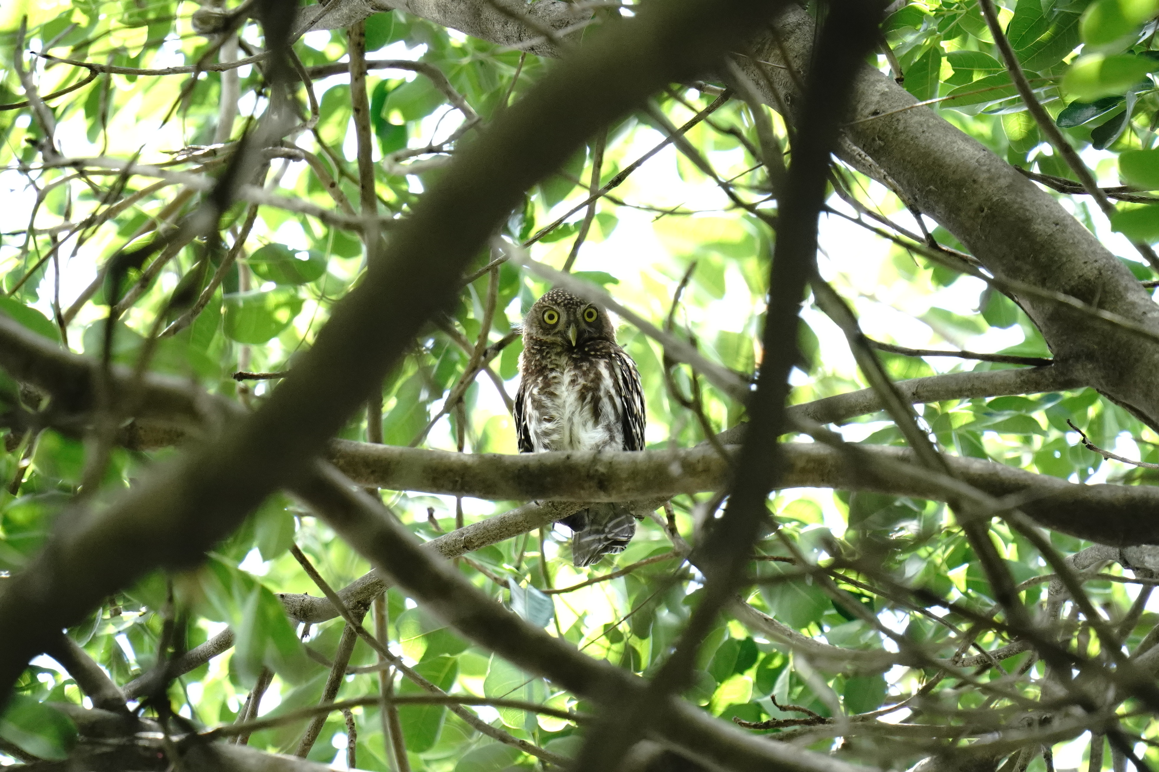 de03568cd146b2f04ccf34ed2a8e14b0